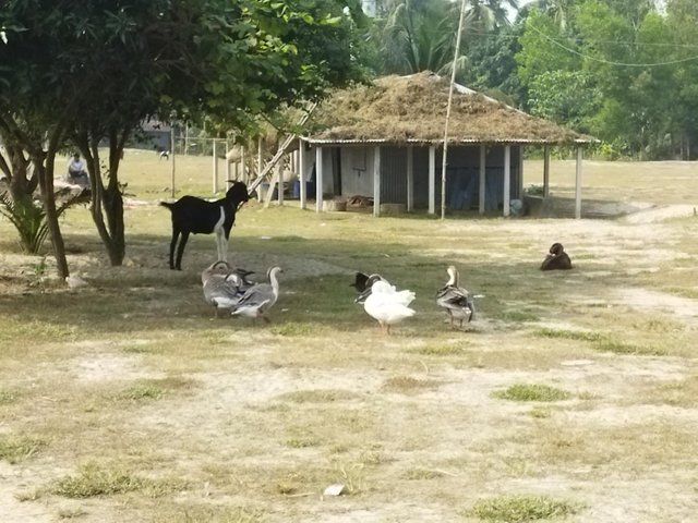 Messenger_creation_ADC447C0-9244-402F-83F0-954322EA020E.jpeg