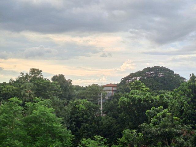 20250706_173532.jpg