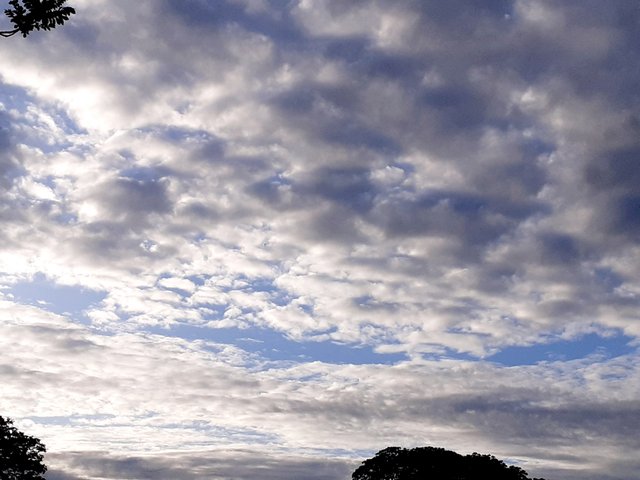 20250418_065209.jpg