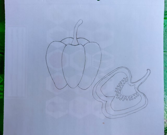 1000017868.jpg