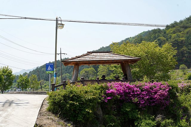 b-DSC01022.JPG