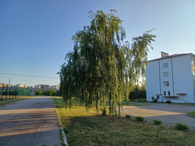 20250624_055446.jpg