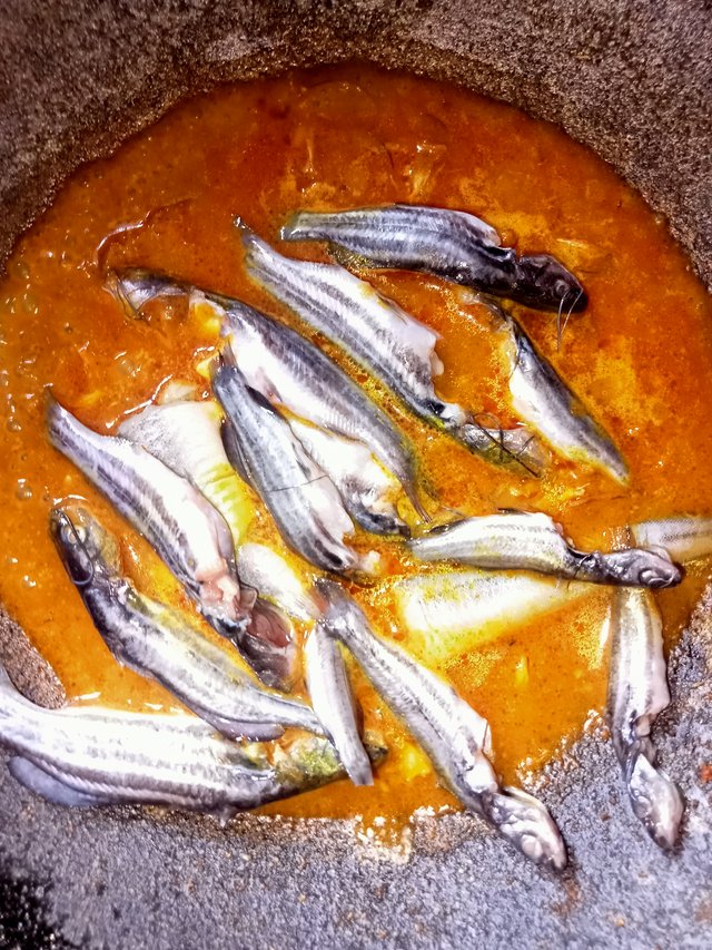 IMG20251016085422.jpg