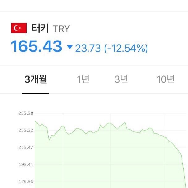 터키 환율 급락.jpg