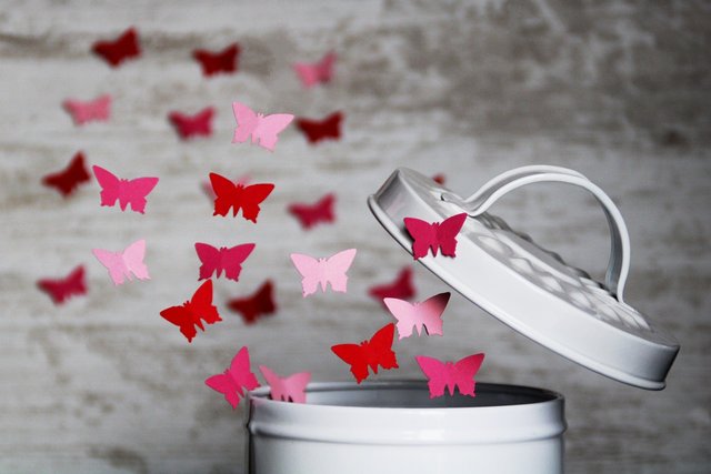 butterfly-4061336_1280.jpg
