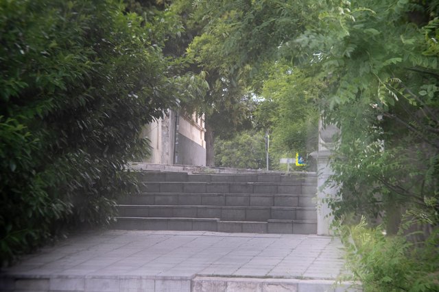 DSC04483.jpg