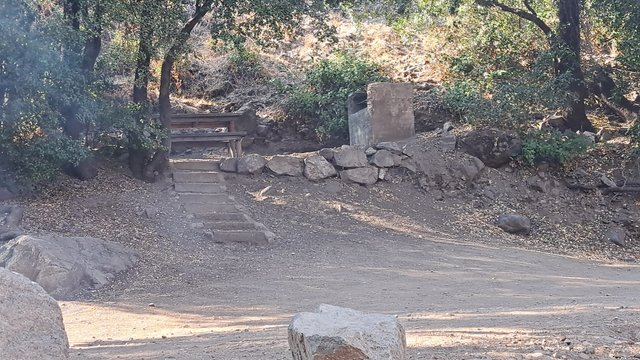 1000622980.jpg
