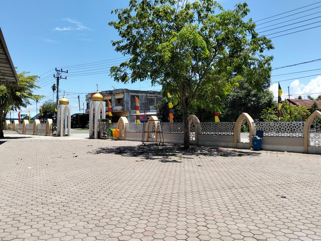 9225.jpg