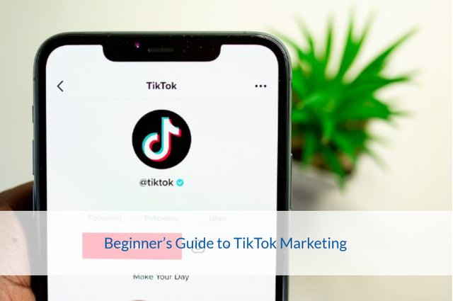 Beginner's Guide to Tik Tok Marketing.jpg