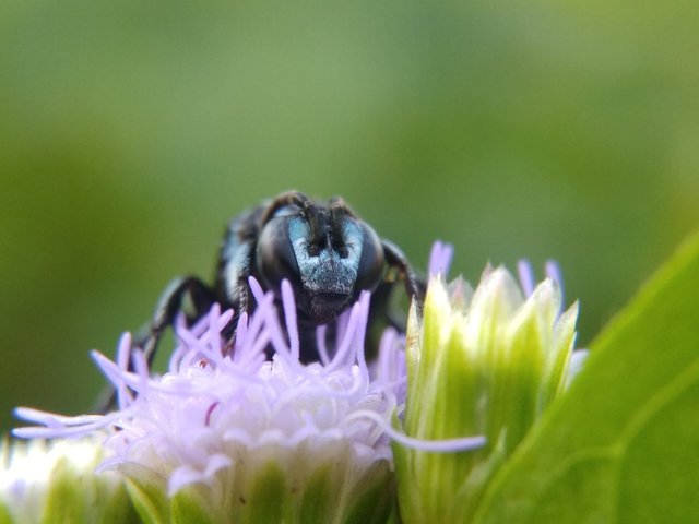 IMG_20210907_170958.jpg