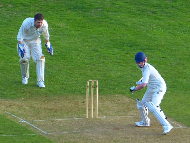 cricket-510043_1280.jpg