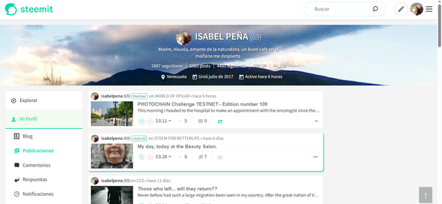 Perfil viejo Steemit.png
