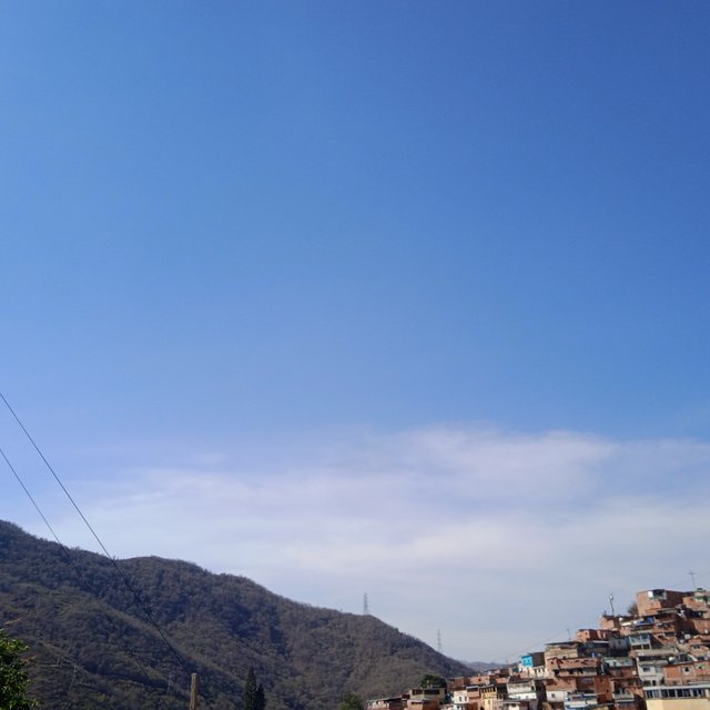 IMG_20250316_093352_1.jpg