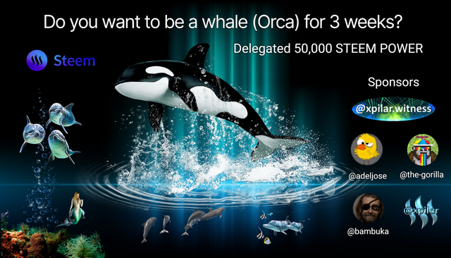 ny Orca for 3 uker.png