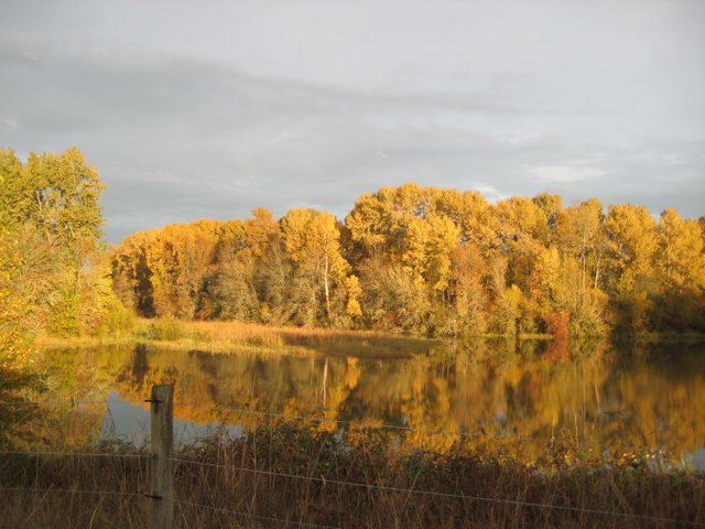 Autumn in Clatskanie 2008 015.jpg