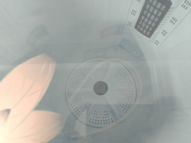 1000041558.jpg