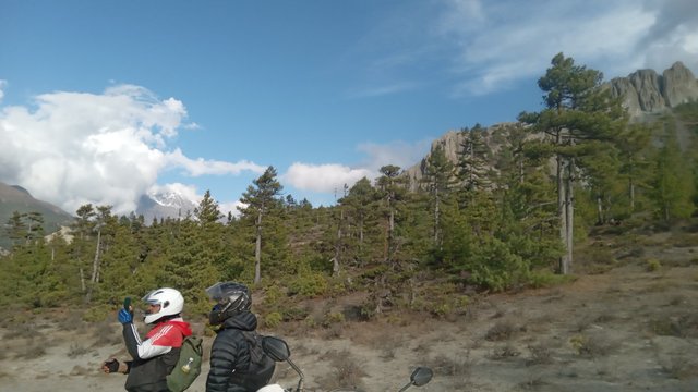 20250503_164138.jpg