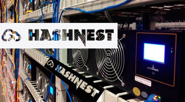 hashnest-0.jpg