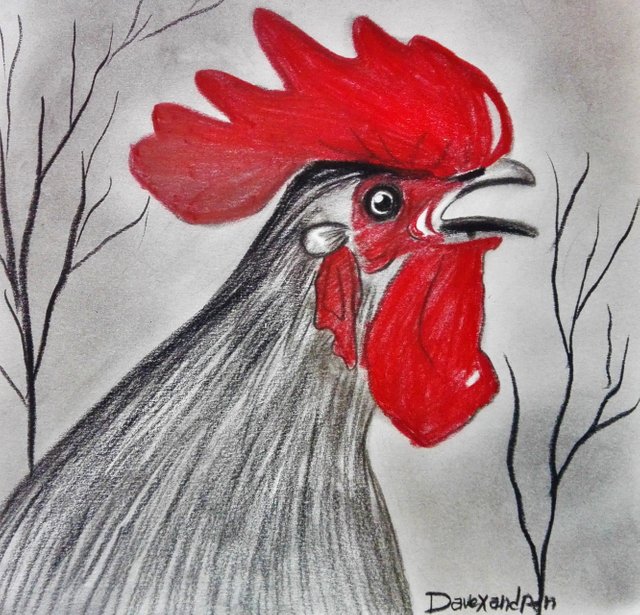 rooster(254).jpg
