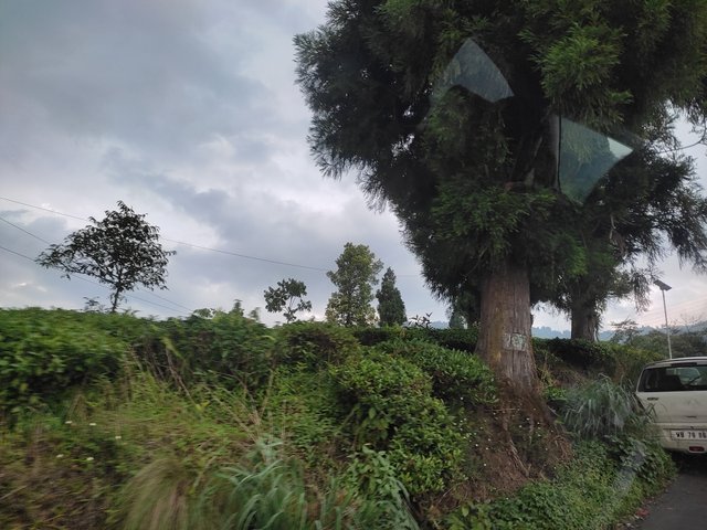 IMG_20250612_153155.jpg