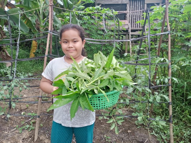 IMG20250623174139.jpg