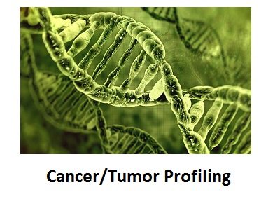 Cancer  Profiling.jpg