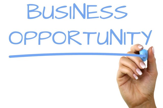 Image result for business opportunity