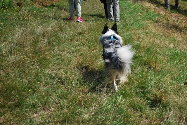 merlin-bdOrb-treffen-leute.jpg