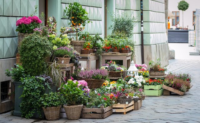 flowers-1139083_1280.jpg