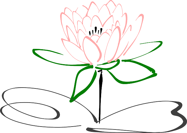 lotus-303462_640.png