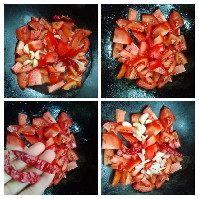 IMG_20251003_204108-COLLAGE.jpg