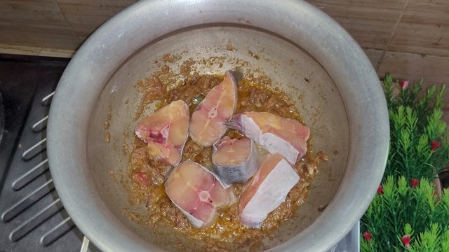 VideoCapture_20250507-122608.jpg