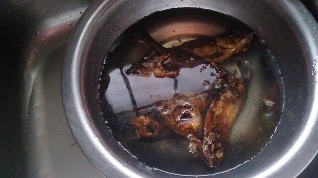 IMG20250623172748.jpg