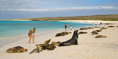 galapagos-1024x512.jpg