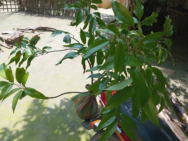 IMG_20250923_120407_127.jpg