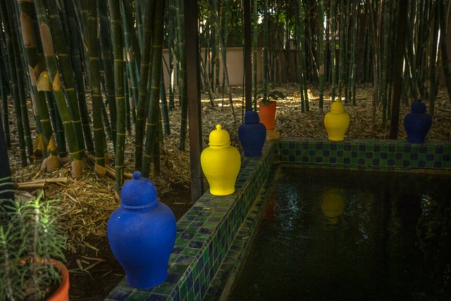 Les Jardins de la Majorelle 59.jpg