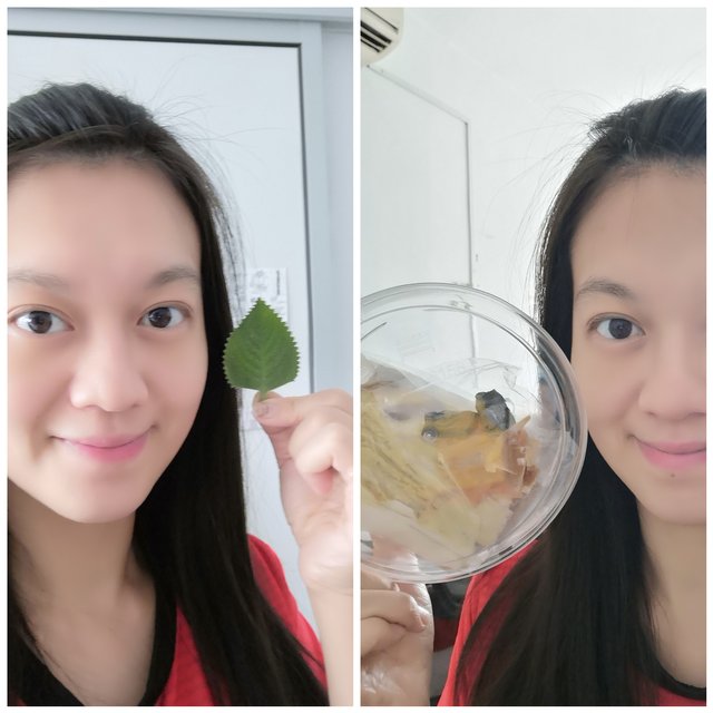 CollageMaker_20180619_132333412.jpg