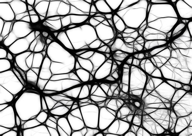 neuronas.jpg