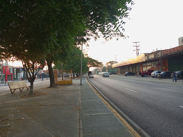 IMG_20250416_063052_313.jpg