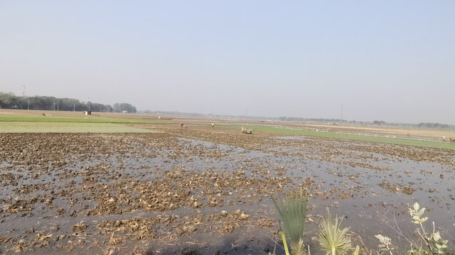 IMG_20250208_094312.jpg
