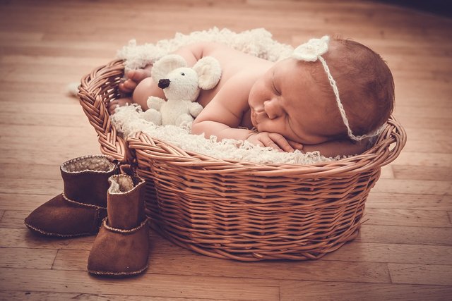 basket-2924001_1280.jpg
