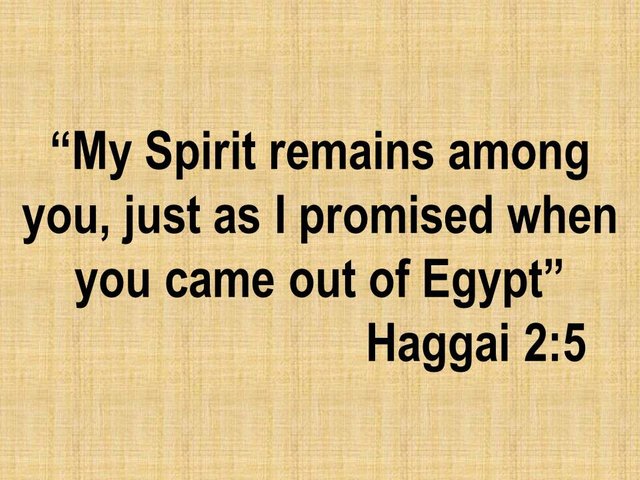 Oracle of the Lord. My Spirit remains among you, just as I promised when you came out of Egypt. Haggai 2,5.jpg