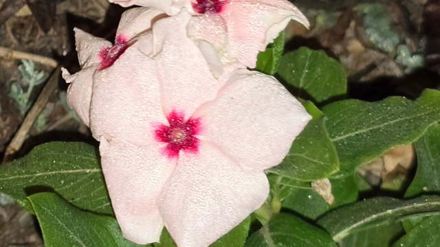 20241210_021800.jpg