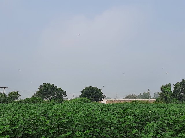 20211009_093541.jpg