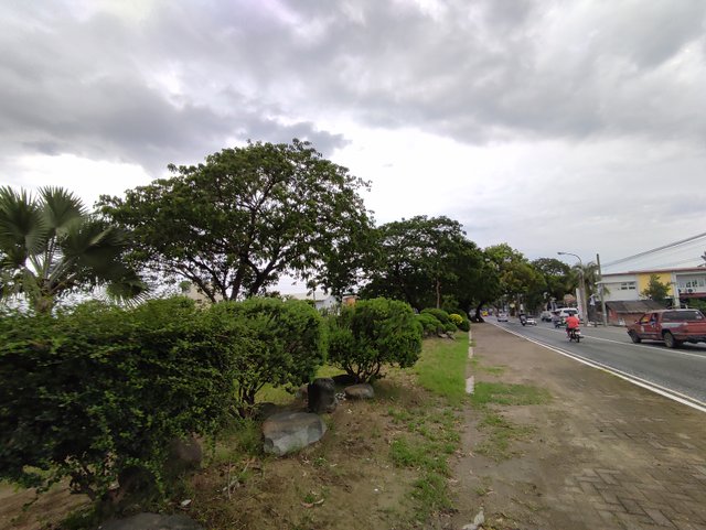 IMG_20250806_165310.jpg