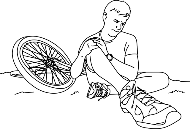 fall-2822202_1280.png