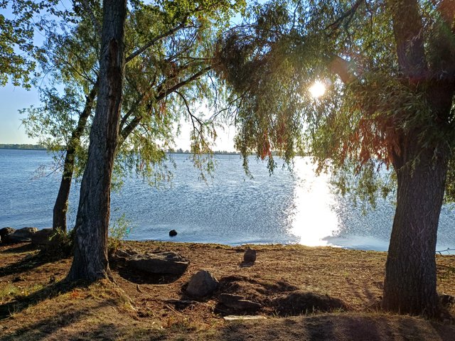 20250825_070837.jpg