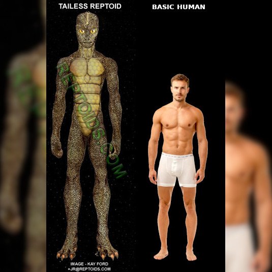 Tailess-Reptoid_human-size_comparaison_1.jpg