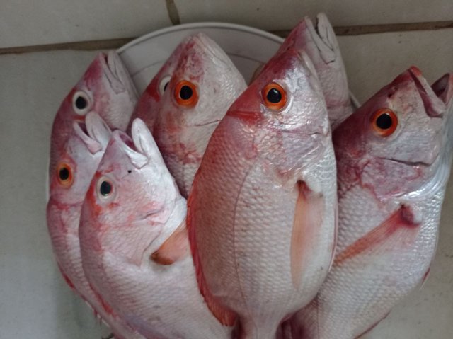 Pescado con Verduras crudo.jpg