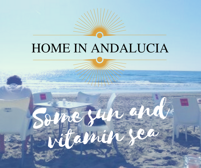 Home in Andalucia _Sun & Vitamin Sea_.png